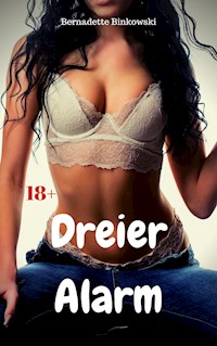 Dreier Alarm - Bernadette Binkowski - ebook