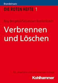Verbrennen und Löschen - Roy Bergdoll - ebook