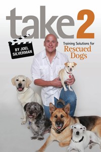 Take 2 - Joel Silverman - ebook