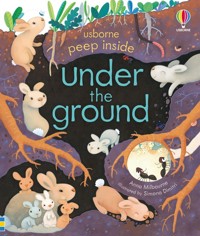 Peep Inside Under the Ground - Anna Milbourne - książka