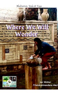 Where We Will Wonder - Jan Wolter - ebook