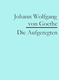 Die Aufgeregten - Johann Wolfgang von Goethe - ebook