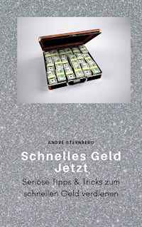 Schnelles Geld Jetzt - Andre Sternberg - ebook