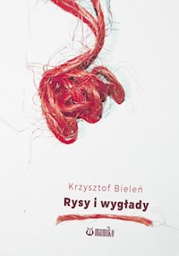 Rysy i wygłady - Bieleń Krzysztof - książka