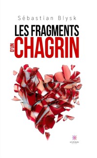 Les fragments d’un chagrin - Sébastian Blysk - ebook