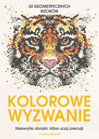 Kolorowe wyzwanie. Niezwykłe obrazki, które uczą precyzji - Joanna Webster - książka