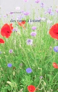 des rimes à foison - Daniel Durand - ebook