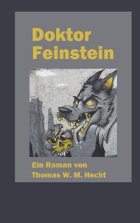 Doktor Feinstein - Thomas Hecht - ebook