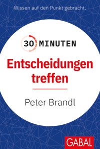 30 Minuten Entscheidungen treffen - Peter Brandl - ebook