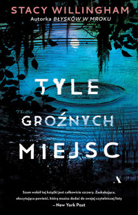 Tyle groźnych miejsc - Willingham Stacy - ebook + audiobook + książka