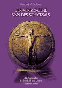 Der verborgene Sinn des Schicksals - Randolf M. Schäfer - ebook