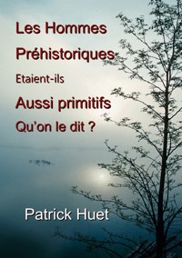 Les hommes préhistoriques étaient-ils aussi primitifs qu'on le dit ? - Patrick Huet - ebook