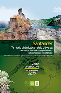 Santander territorio dinámico, complejo y diverso: una perspectiva desde la geografía física y sus interacciones ecosistémicas - Amado Guerrero - ebook