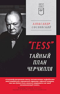 "ГESS" Тайный план Черчилля - Александр Сосновский - ebook