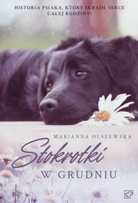 Stokrotki w grudniu - Marianna Olszewska - ebook