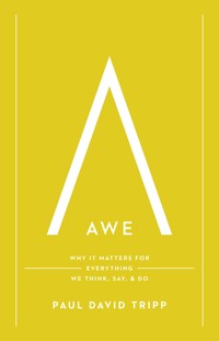 Awe (with Study Questions) - Paul David Tripp - ebook