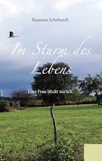 Im Sturm des Lebens - Susanna Schebesch - ebook