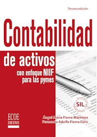 Contabilidad de activos con enfoque NIIF para las pyme - 3ra edición - Ángel María Fierro Martínez - ebook