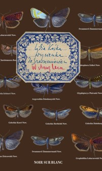 Wycieczka do Szerszeniowiec - Kośka Lidia - książka