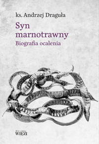 Syn marnotrawny - Draguła Andrzej - książka