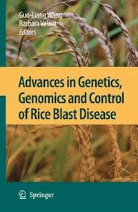 Advances in Genetics, Genomics and Control of Rice Blast Disease - - ebook