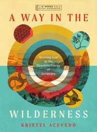 A Way in the Wilderness - Kristel Acevedo - ebook