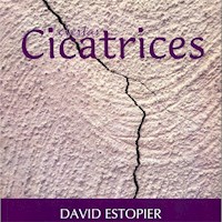 Ciertas cicatrices - David Estopier - ebook