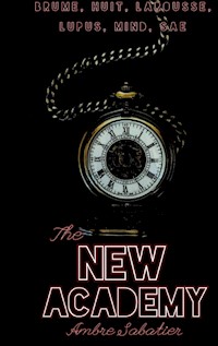 The New Academy - Ambre Sabatier - ebook