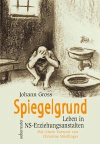 Spiegelgrund - Johann  Gross - ebook