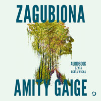 Zagubiona - Amity Gaige - audiobook