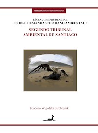 Línea jurisprudencial sobre demandas por daño ambiental - Teodoro Wigodski - ebook
