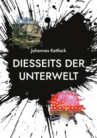 Diesseits der Unterwelt - Johannes Kettlack - ebook
