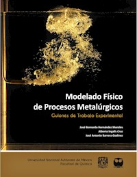 Modelado Físico de Procesos Metalúrgicos. Guiones de Trabajo Experimental - José Bernardo Hernández Morales - ebook