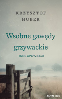 Wsobne gawędy grzywackie i inne opowieści - Krzysztof Huber - ebook + książka