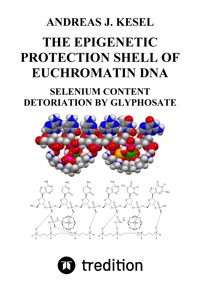 THE EPIGENETIC PROTECTION SHELL OF EUCHROMATIN DNA - Andreas Johannes Kesel - ebook
