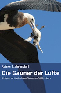 Die Gauner der Lüfte (gekürzte Version) - Rainer Nahrendorf - ebook