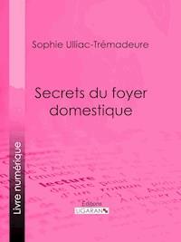 Secrets du foyer domestique - Ligaran - ebook