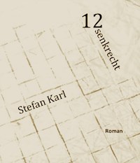 Zwölf Senkrecht - Stefan Schützenhofer - ebook