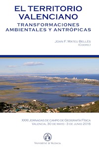 El territorio valenciano. Transformaciones ambientales y antrópicas - AAVV - ebook