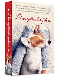 Przytulajka - Małgorzata Kalicińska,  - książka