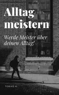 Alltag meistern - Tobias Hopfmüller - ebook