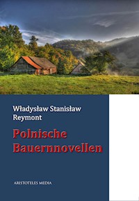 Polnische Bauernnovellen - Władysław Stanisław Reymont - ebook