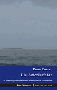 Die Amerikafahrt - Dorus Kromer - ebook
