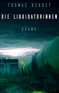 Die Liquidatorinnen - Thomas Herget - ebook