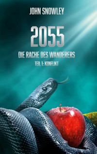 2055: Die Rache des Wanderers - John Snowley - ebook