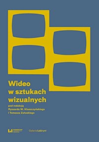Wideo w sztukach wizualnych -  - książka