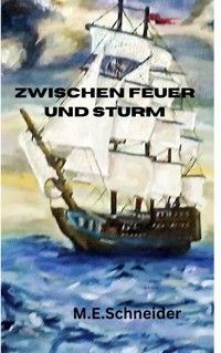 Zwischen Feuer und Sturm - Martina Eleonore Schneider - ebook
