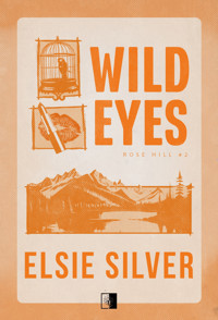 Wild Eyes - Elsie Silver - ebook + audiobook