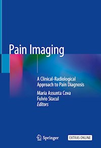 Pain Imaging -  - ebook