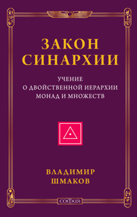Закон синархии и учение о двойственной иерархии монад и множеств - Владимир Шмаков - ebook